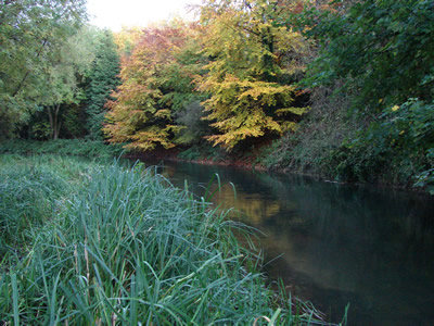 River Avon autumn colour